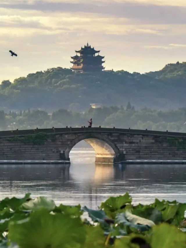 Spring Comes Late, But I'm Already in the True Jiangnan.
