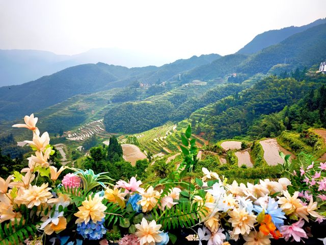 麗水懶人遊