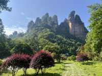 Magical 4 days in Zhangjiajie Park 