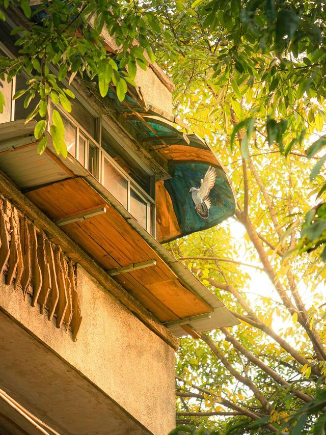 🚪 Did I Just Photograph My Childhood? (Or a Time Portal in Chongqing?)