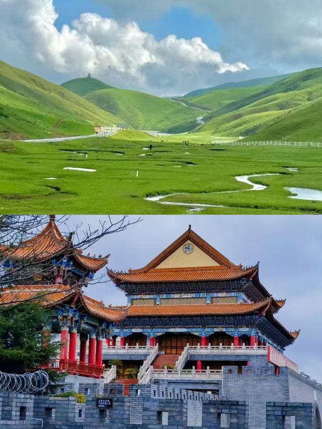 曲靖返嚟，講啲難聽嘅大實話。