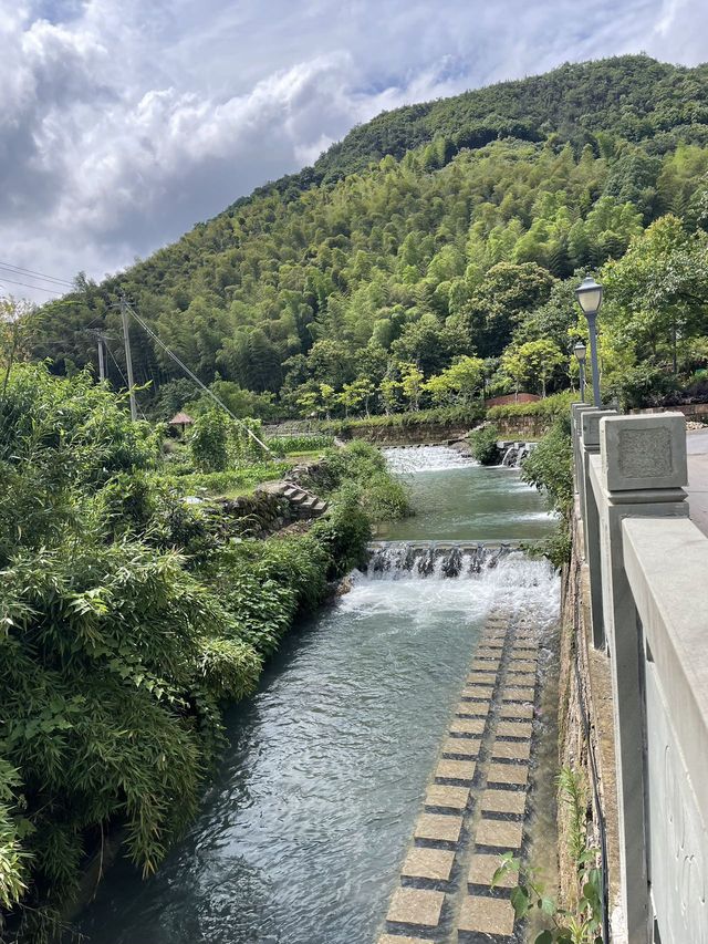 遛娃聖地爽到爆，可摘楊梅可玩水
