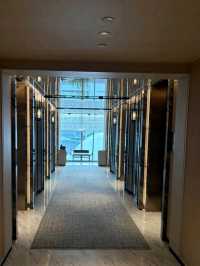 Stunning Singapore Marina Bay Sands Hotel🏨