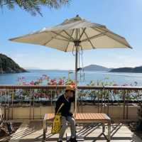🌊香港富麗敦海洋公園酒店！沉浸式度假+遛娃神地攻略