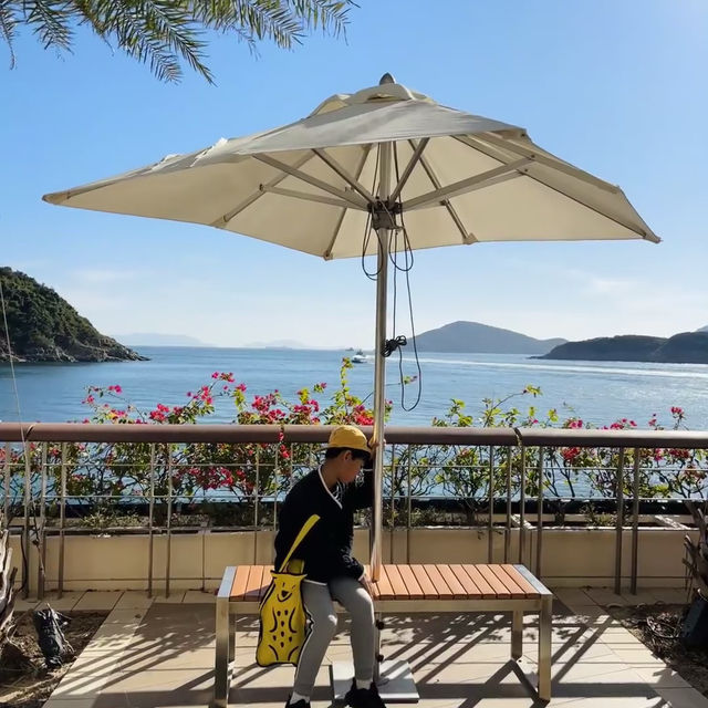 🌊香港富麗敦海洋公園酒店！沉浸式度假+遛娃神地攻略