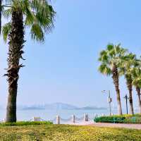 在漫畫般的海灣公園，閑逛，發呆，看日落