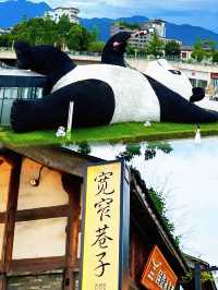 熊貓BB打架現場，萌爆100萬人點讚！