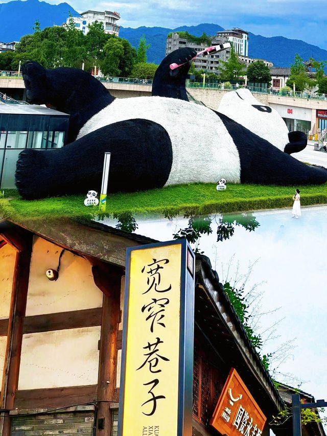 熊貓BB打架現場，萌爆100萬人點讚！