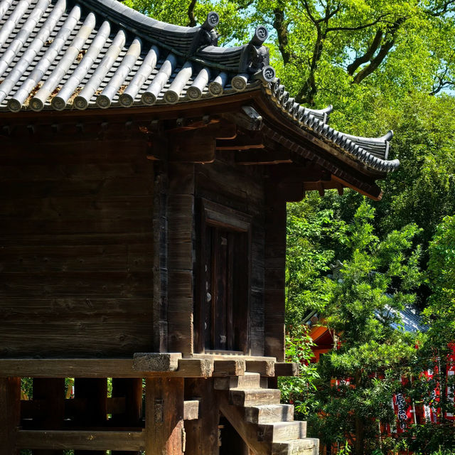 大阪住吉大社｜穿越時空的千年古建秘境✨