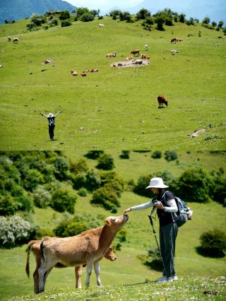 Sichuan's Altay! 4 Heavenly Pastures So Beautiful You'll Want to Settle Down