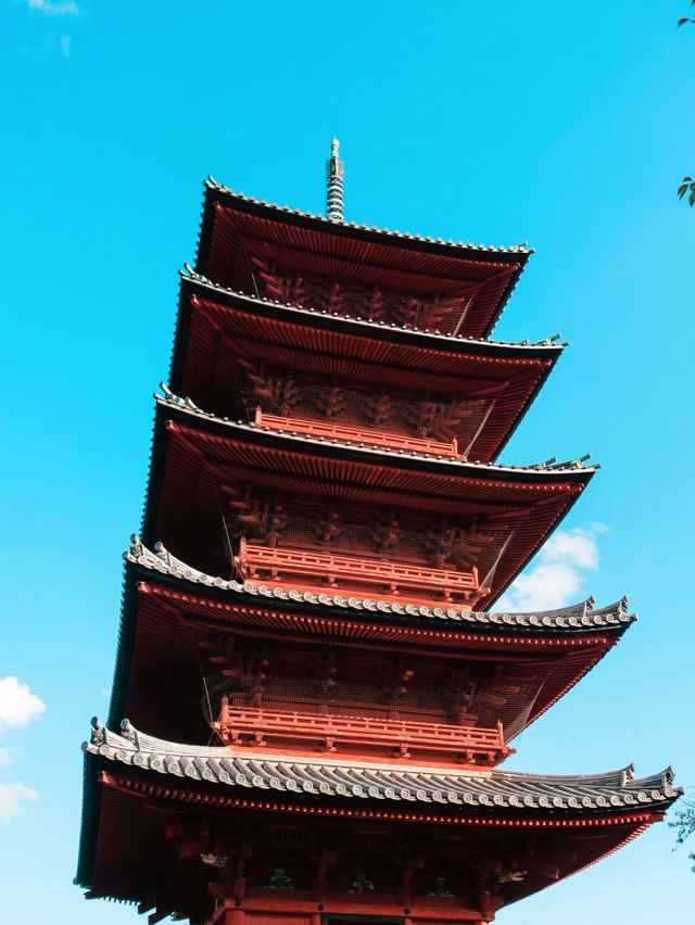 東京の隠れ名所：池上本門寺で歴史と桜を満喫】**  