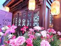 🎐 《光影玄門・書香姑蘇》