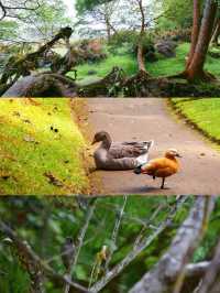 上海周邊｜嵊泗花鳥島真係太好影啦