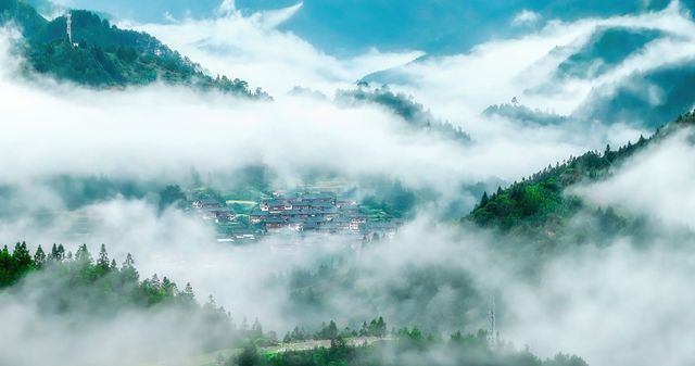 東北姑娘初遇貴州大霧驚嘆如入仙境