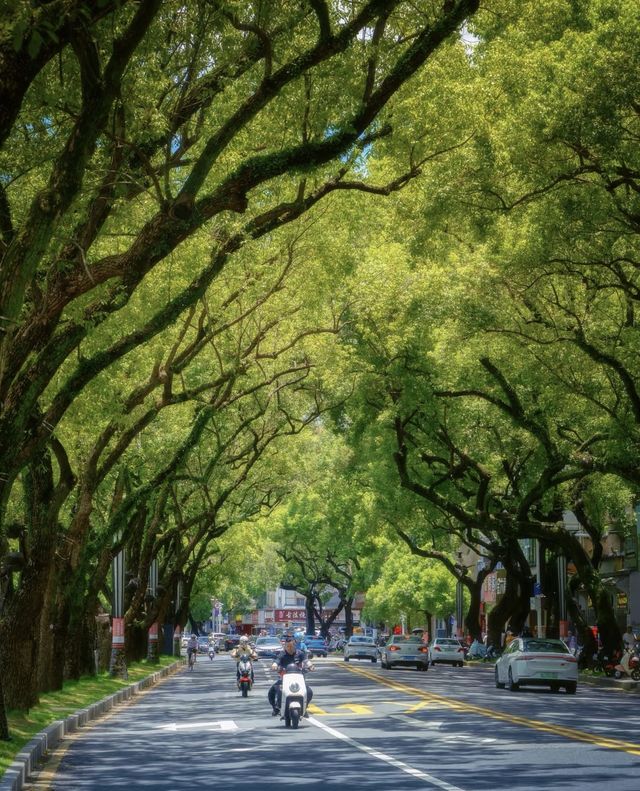 初夏惠州小眾玩法！