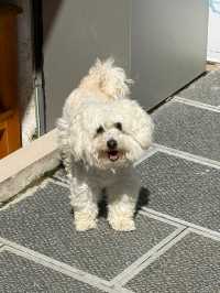 絕美峽谷漫遊指南