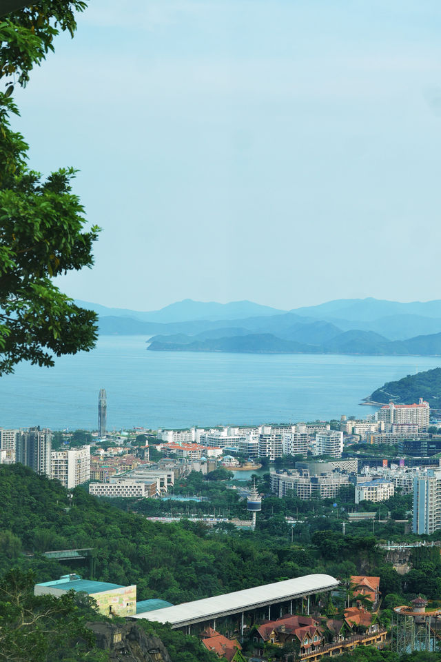 森呼吸，半山森林中的隱秘居所