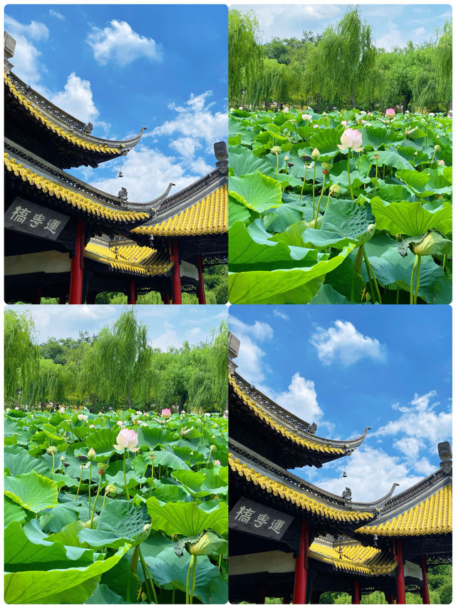 揚州已返，講講我嘅真實感受
