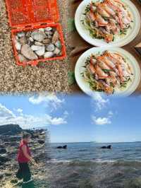 廣東趕海天花板？向海尋鮮！茂名灘塗尋鮮大挑戰！