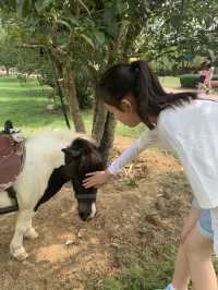 湖州龍之夢動物世界 | 沉浸式親子遊&動物探秘指南