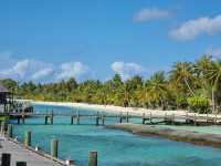 Wonderful Stay at Kuredu Island