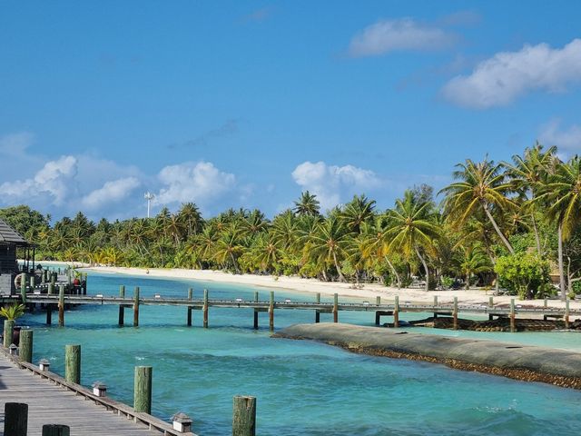 Wonderful Stay at Kuredu Island Wonderful Stay at Kuredu Island