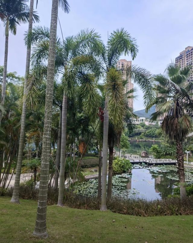 【福建聚龍小鎮｜藏在閩南的“世外桃源”，治癒系度假勝地全攻略