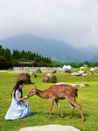 在貓兒山，解鎖「華南之巔」的N種寶藏玩法