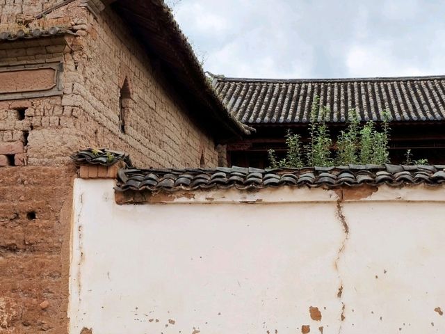 沙溪日常