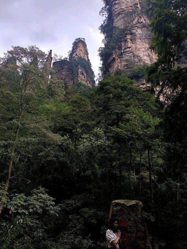 Epic Jungle Adventure: Golden Whip Valley Walk in Zhangjiajie 🌲🐒
