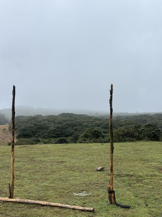 洱源高山露營絕美地