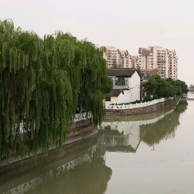 River Life in Qibao Ancient Town 🛶🌉