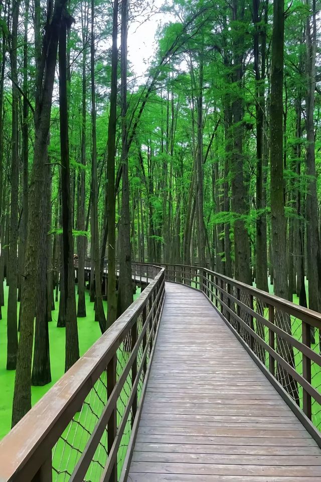 你體會的都是景，我體會的都是心中的靜