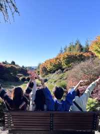 🕊️ Ikeda Hall Peace Garden: Where Japanese Serenity Meets New Zealand's Soul! 🌿