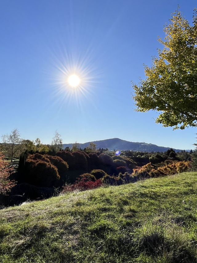 🕊️ Ikeda Hall Peace Garden: Where Japanese Serenity Meets New Zealand's Soul! 🌿