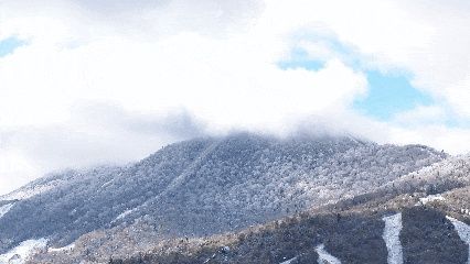 亞布力滑雪場霧淞美景綻放