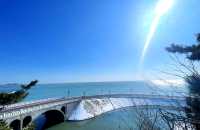 榮成海景絕美打卡地