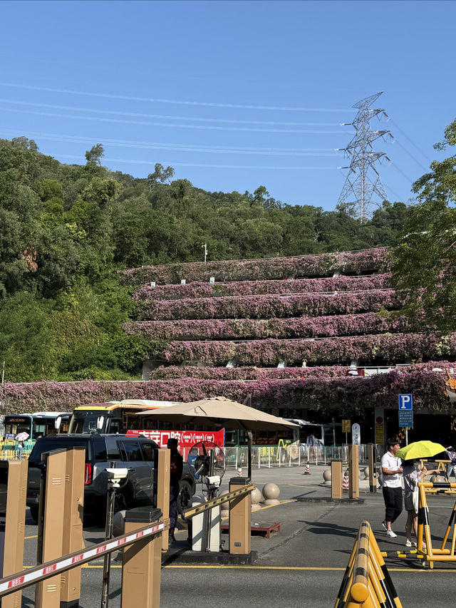 仙湖植物園：深圳綠肺，藏盡四季植物奇觀