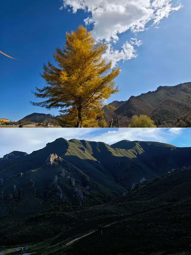 探秘蘭州吐魯溝，盡享森林之美！
