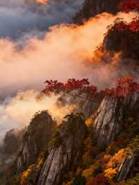 秋日黃山！10-11月衝就對了，錯過再等1年