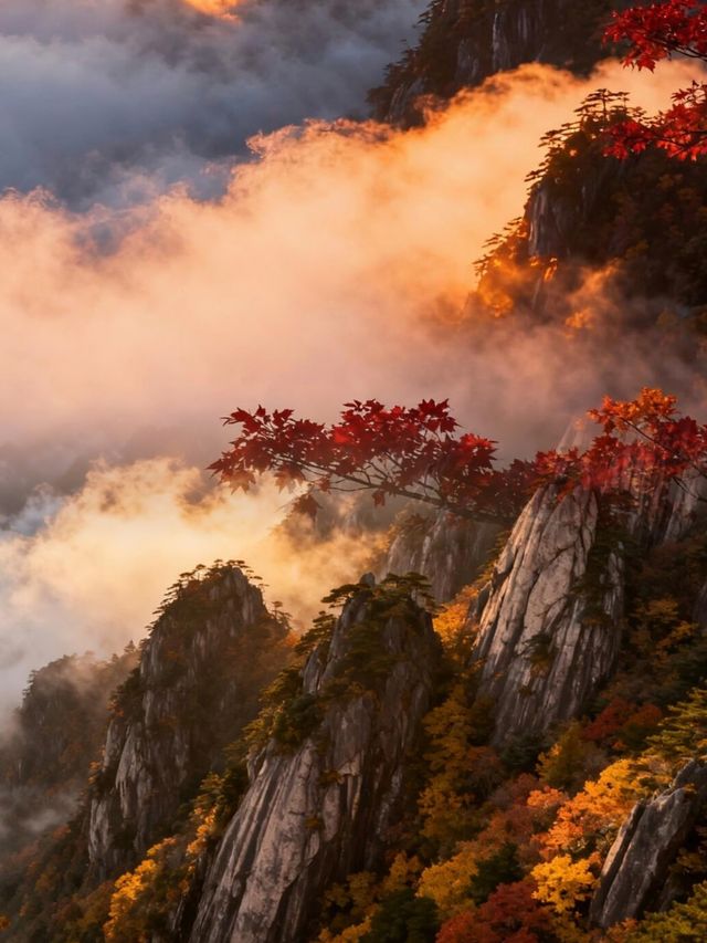 秋日黃山！10-11月衝就對了，錯過再等1年