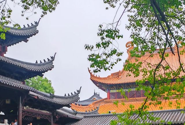 來浙江「度假古鎮」吧，煙火氣與老字號齊全
