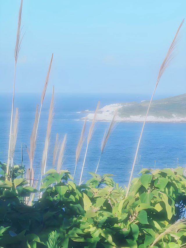 東極島，一個來了就不想走的地方
