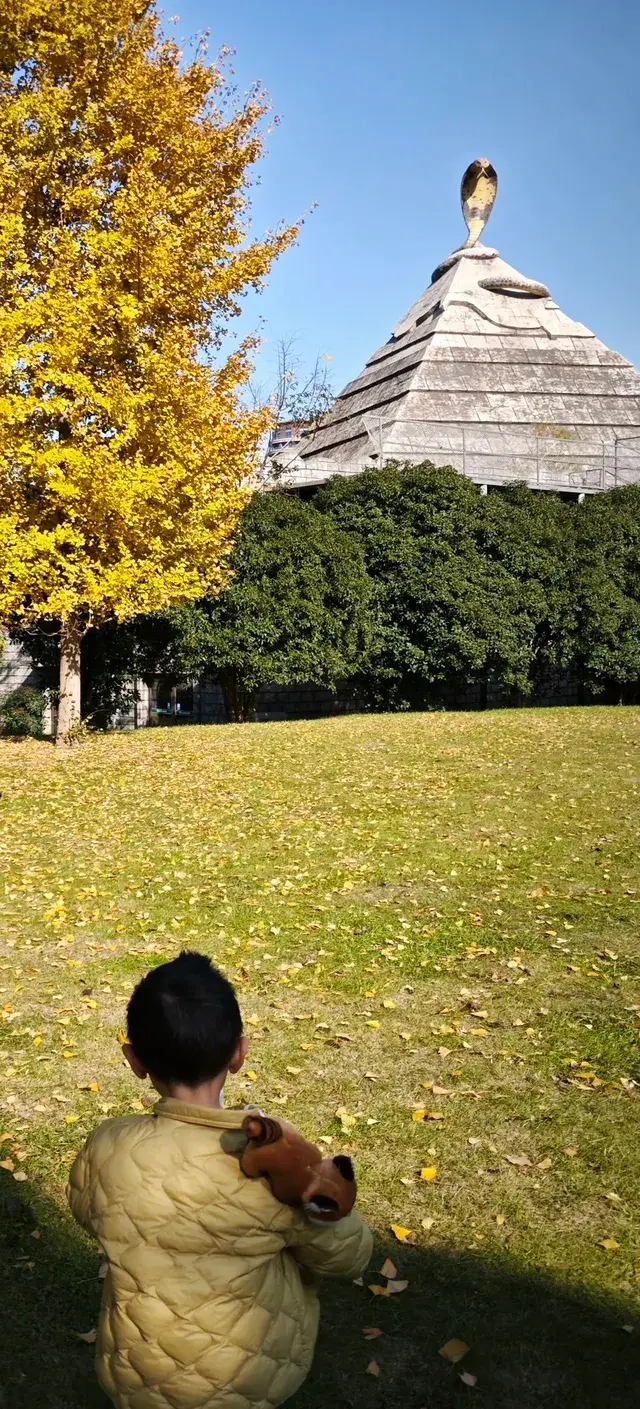 逃離上海，來太湖龍之夢過週末啦