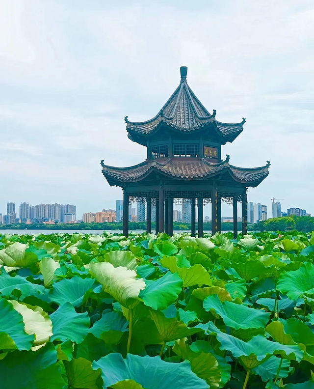 一天的行程剛剛好,黃岡的美麗會讓人上癮 一天的行程剛剛好,黃岡的美麗會讓人上癮