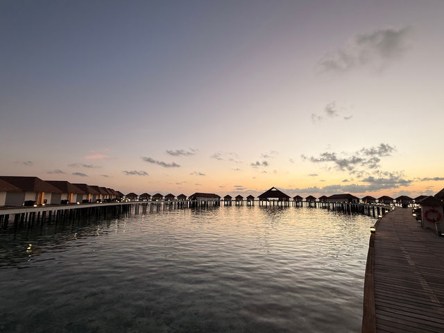 Exceptional Stay at Cinnamon Velifushi