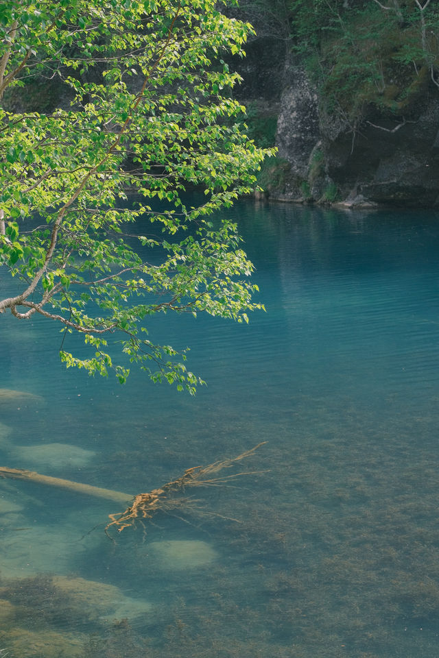 長白山的夏天是封神級的！綠野仙蹤+冰川湖泊
