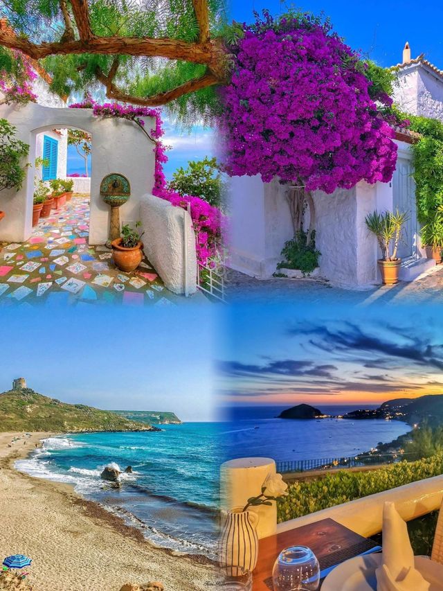 落地荷蘭玩了7天,我的消費觀徹底崩塌了…… 落地荷蘭玩了7天,我的消費觀徹底崩塌了……