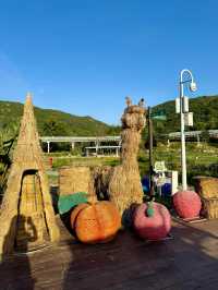 金灣木頭沖|走進童話世界