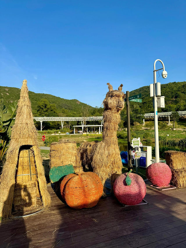 金灣木頭沖|走進童話世界 金灣木頭沖|走進童話世界